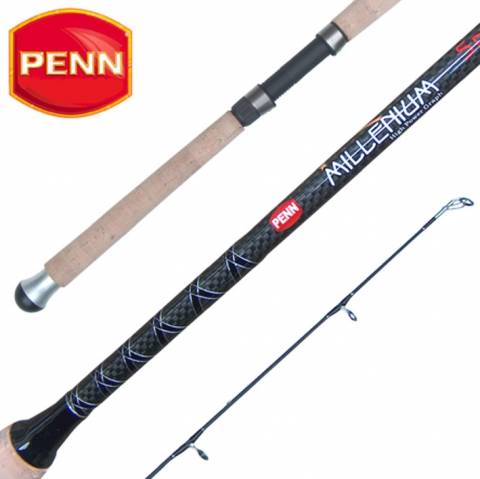 CANNE A PECHE PENN MILLENIUM SPIN / Eau Douce