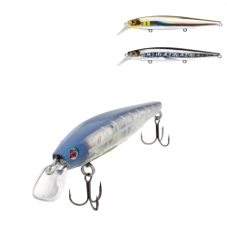 Dr.Fish 4 PCS Leurres de Pêche en Mer Plug Minnow Pencil Jerkbait Walker  Popper Naufrage Leurres Pêche Carnassier Matériel de Pêche en Mer Surface  pour Bar Perche Truite brochet 13 cm 