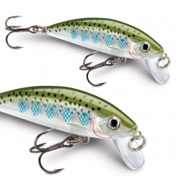 leurre rapala X-RAP countdown