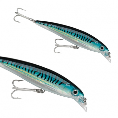 LEURRES RAPALA X-RAP SXR SALTWATER 10cm / Eau Douce